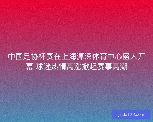 中国足协杯赛在上海源深体育中心盛大开幕 球迷热情高涨掀起赛事高潮