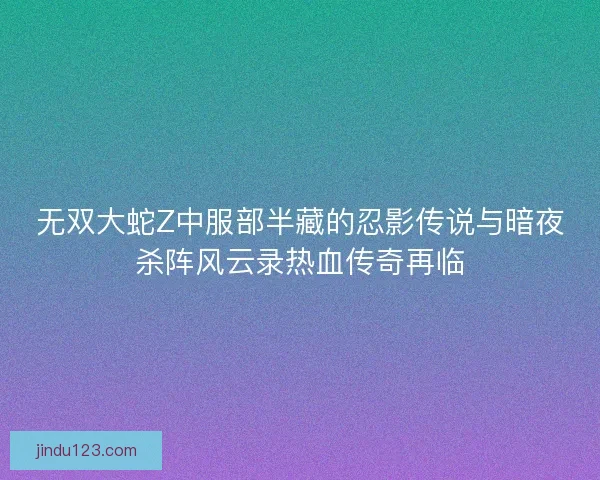 无双大蛇Z中服部半藏的忍影传说与暗夜杀阵风云录热血传奇再临